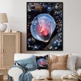 Blue Clam Dappled Depths - Clam Living Room Wall Art