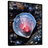 Blue Clam Dappled Depths - Clam Living Room Wall Art