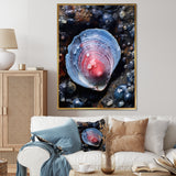 Blue Clam Dappled Depths - Clam Living Room Wall Art