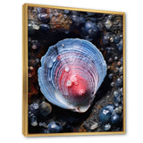 Blue Clam Dappled Depths - Clam Living Room Wall Art
