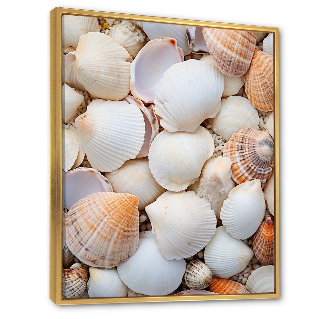 White Clam Nautical Treasures - Clam Wall Decor