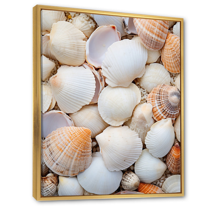 White Clam Nautical Treasures - Clam Wall Decor