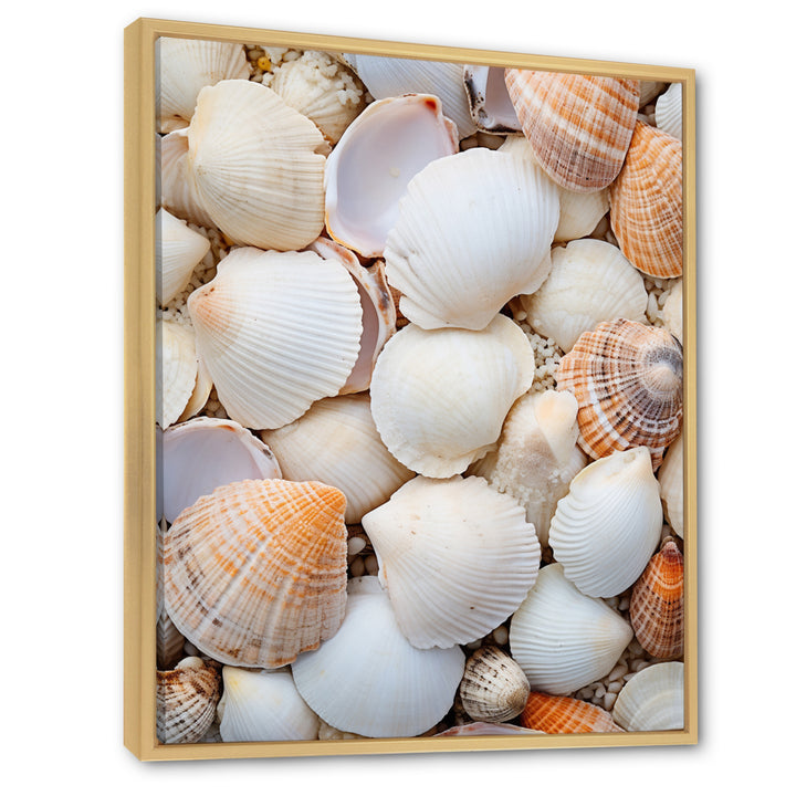 White Clam Nautical Treasures - Clam Wall Decor