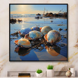 Clam Twilight Treasures - Clam Canvas Wall Art