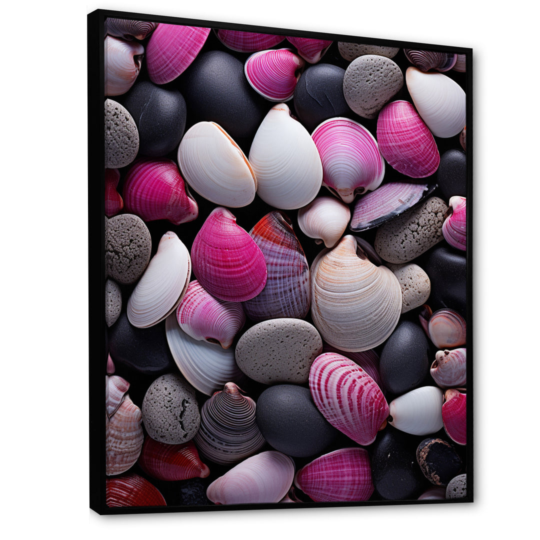 Pink Grey Pink White Shells Seashore Collage - Seashell Wall Art Prints