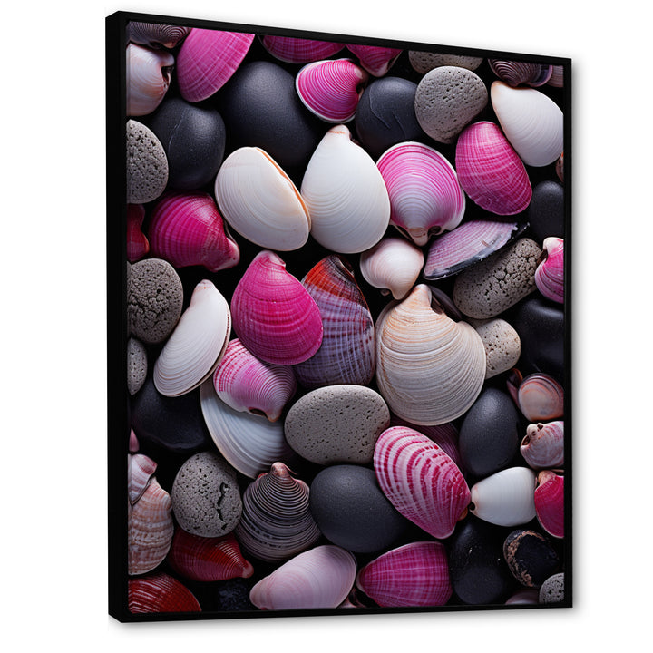 Pink Grey Pink White Shells Seashore Collage - Seashell Wall Art Prints