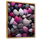 Pink Grey Pink White Shells Seashore Collage - Seashell Wall Art Prints