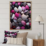 Pink Grey Pink White Shells Seashore Collage - Seashell Wall Art Prints