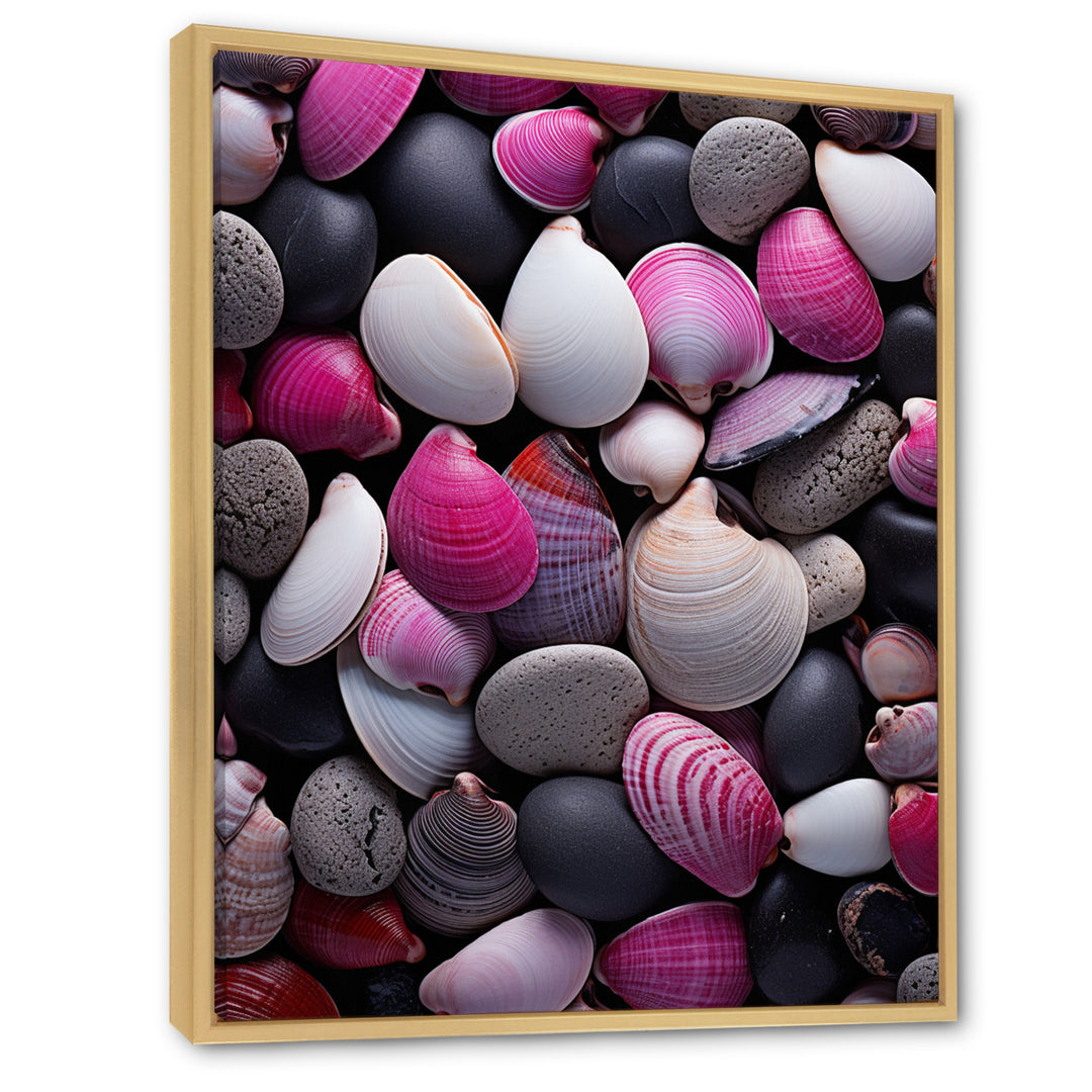 Pink Grey Pink White Shells Seashore Collage - Seashell Wall Art Prints