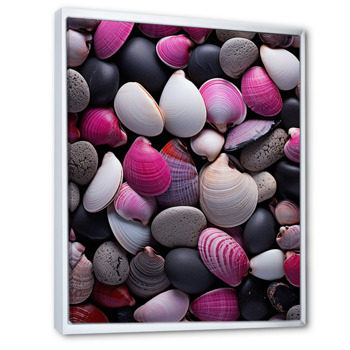 Pink Grey Pink White Shells Seashore Collage - Seashell Wall Art Prints