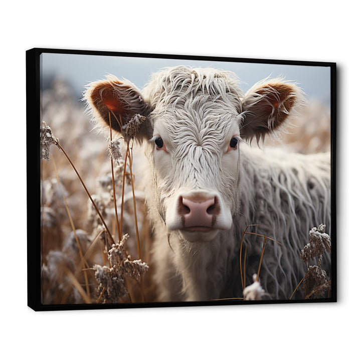 Cow Portrait Photography - Cow Home Decor Art
