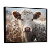 Cow Portrait Photography - Cow Home Decor Art