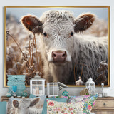 Cow Portrait Photography - Cow Home Decor Art