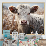 Cow Portrait Photography - Cow Home Decor Art