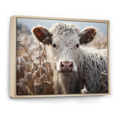 Cow Portrait Photography - Cow Home Decor Art