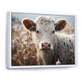 Cow Portrait Photography - Cow Home Decor Art
