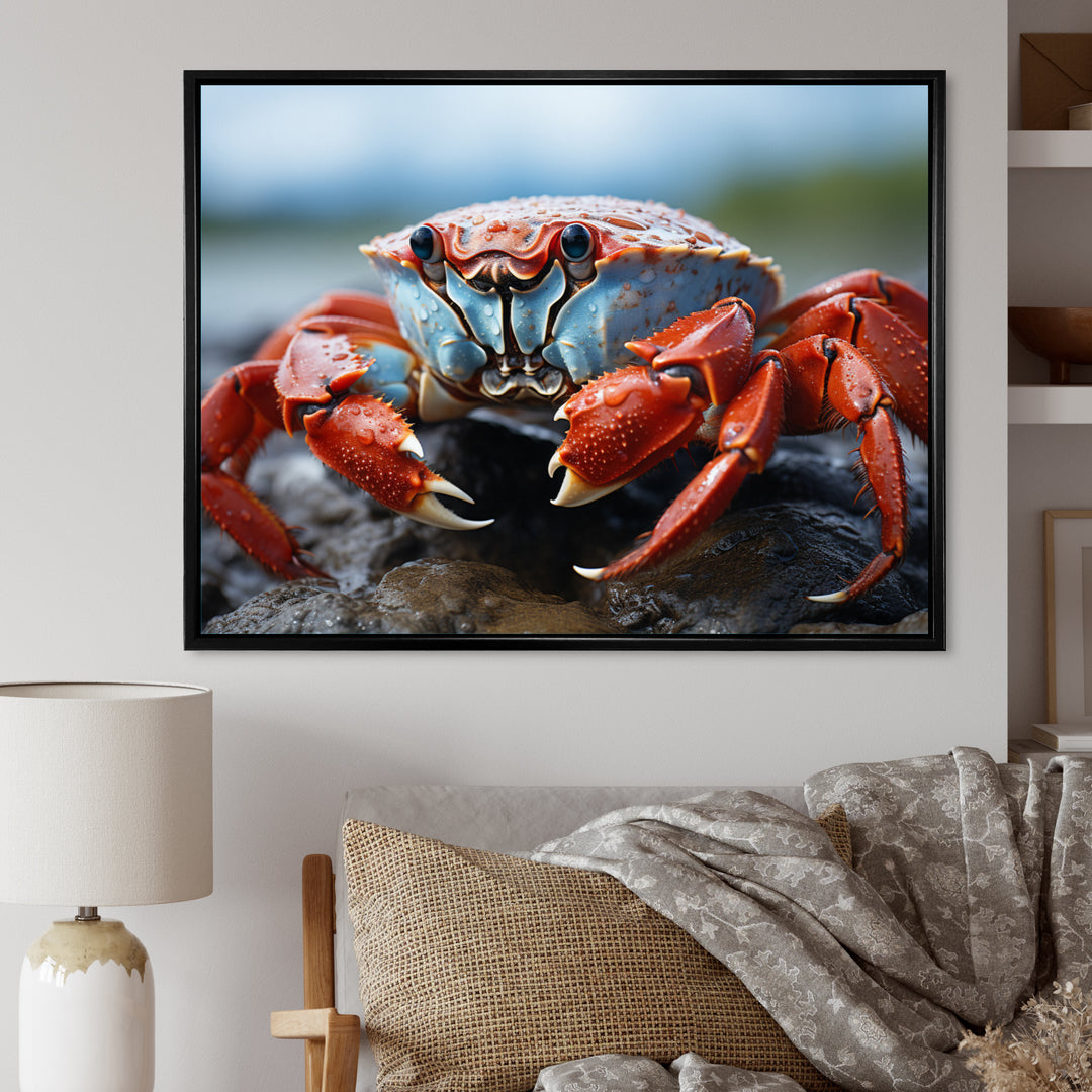 Crab Coastal Guardian - Crab Wall Art Prints