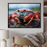 Crab Coastal Guardian - Crab Wall Art Prints