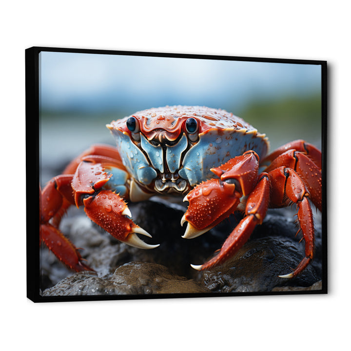 Crab Coastal Guardian - Crab Wall Art Prints