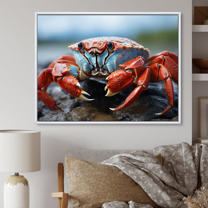 Crab Coastal Guardian - Crab Wall Art Prints