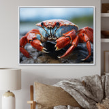 Crab Coastal Guardian - Crab Wall Art Prints