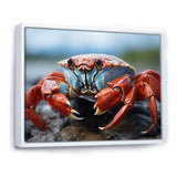 Crab Coastal Guardian - Crab Wall Art Prints