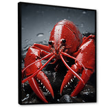 Crayfish Elusive Crayfish - Coral Crayfish Wall Art