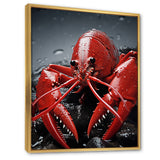 Crayfish Elusive Crayfish - Coral Crayfish Wall Art