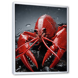 Crayfish Elusive Crayfish - Coral Crayfish Wall Art
