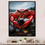 Vibrant Crayfish Portrait - Crayfish Framed Canvas Art