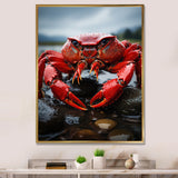Vibrant Crayfish Portrait - Crayfish Framed Canvas Art