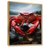 Vibrant Crayfish Portrait - Crayfish Framed Canvas Art