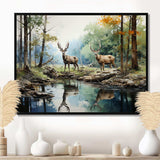 Deer Majestic Reflections - Animals Canvas Wall Art