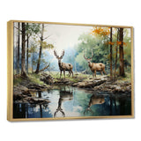 Deer Majestic Reflections - Animals Canvas Wall Art