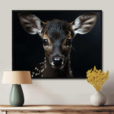 Black And White Deer Portrait - Animals Canvas Wall Art