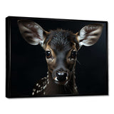 Black And White Deer Portrait - Animals Canvas Wall Art