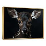 Black And White Deer Portrait - Animals Canvas Wall Art