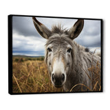 Grey Donkey Gentle Companion - Donkey Home Decor Art