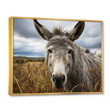 Grey Donkey Gentle Companion - Donkey Home Decor Art