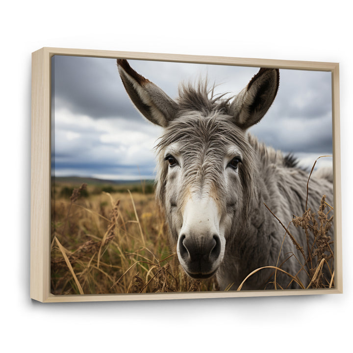 Grey Donkey Gentle Companion - Donkey Home Decor Art