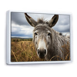Grey Donkey Gentle Companion - Donkey Home Decor Art