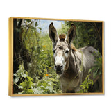 Grey Donkey Gentle Companion Pastoral - Donkey Bedroom Wall Art