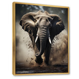 Elephant Glimmers Of Grace - Elephant Bedroom Wall Art