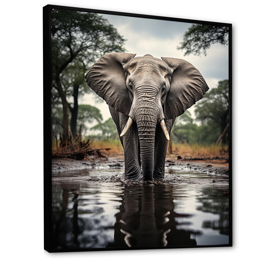 Elephant Majestic Reflections - Elephant Wall Decor
