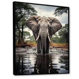 Elephant Majestic Reflections - Elephant Wall Decor