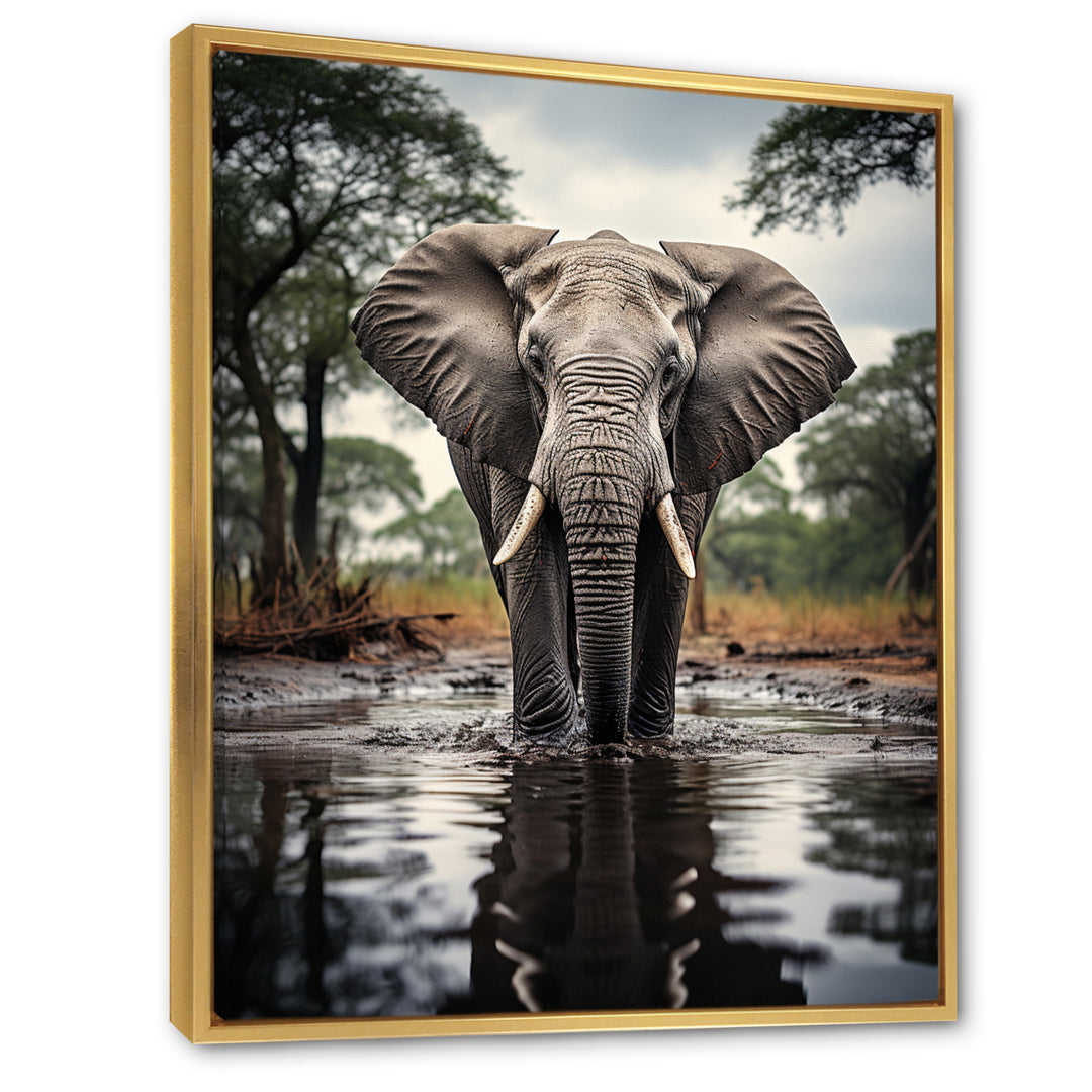 Elephant Majestic Reflections - Elephant Wall Decor