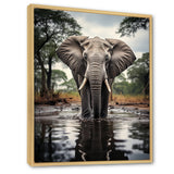 Elephant Majestic Reflections - Elephant Wall Decor
