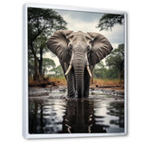 Elephant Majestic Reflections - Elephant Wall Decor