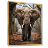 Elephant Portrait Vibrant - Gray Elephant Wall Art