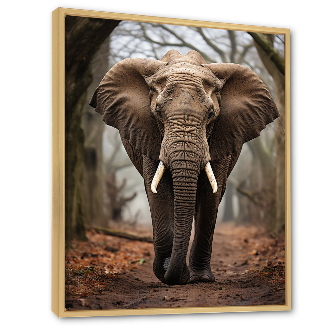 Elephant Portrait Vibrant - Gray Elephant Wall Art